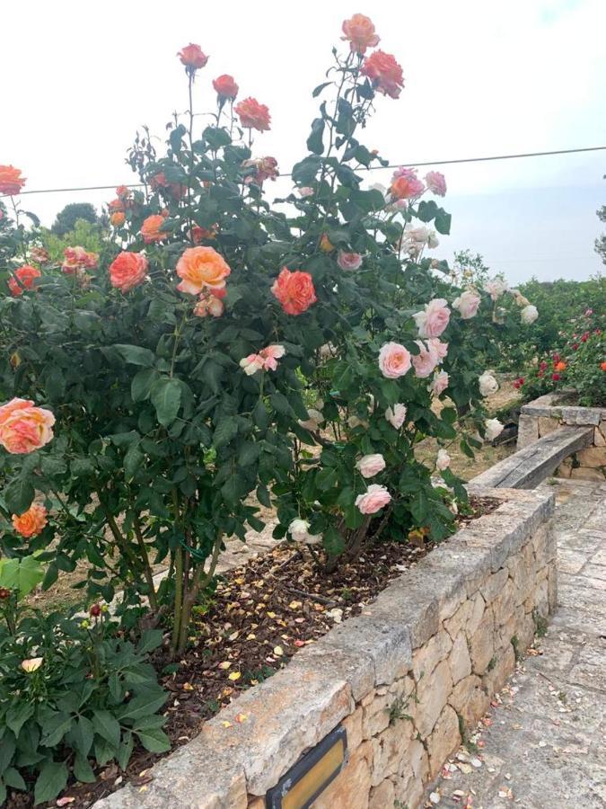 切列梅萨皮卡Il Giardino Degli Antichi Sapori别墅 外观 照片