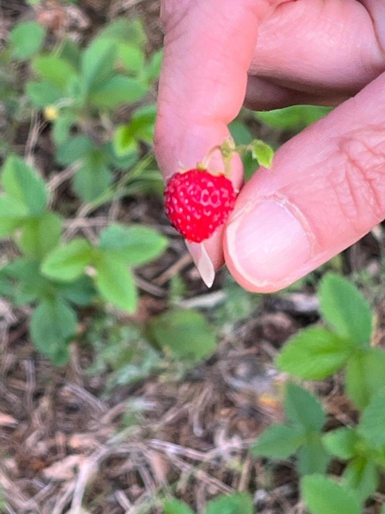 切列梅萨皮卡Il Giardino Degli Antichi Sapori别墅 外观 照片